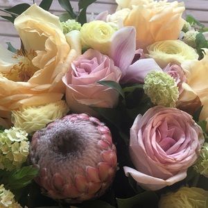 Meet your Posher, Emma